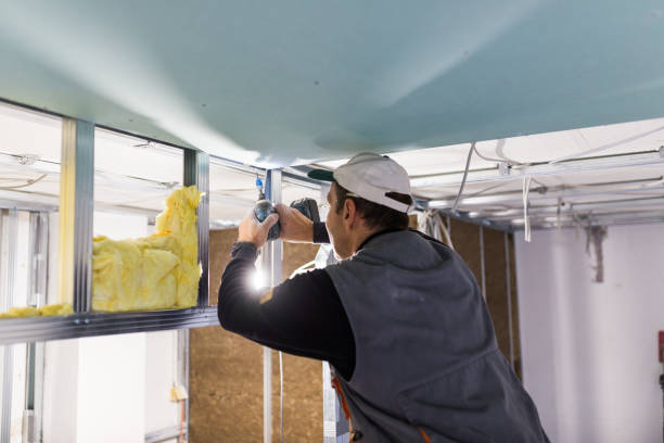 Best Cellulose Insulation in Celebration, FL