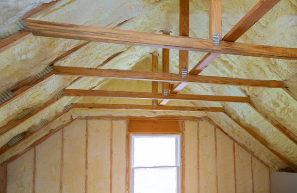 Best Blown-in Insulation in Celebration, FL