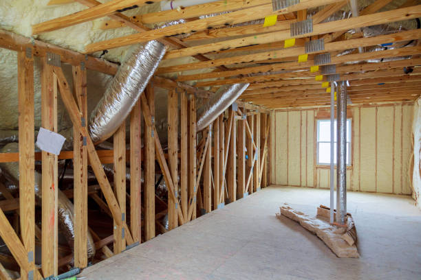 Best Geographic-Specific Insulation Services in Celebration, FL