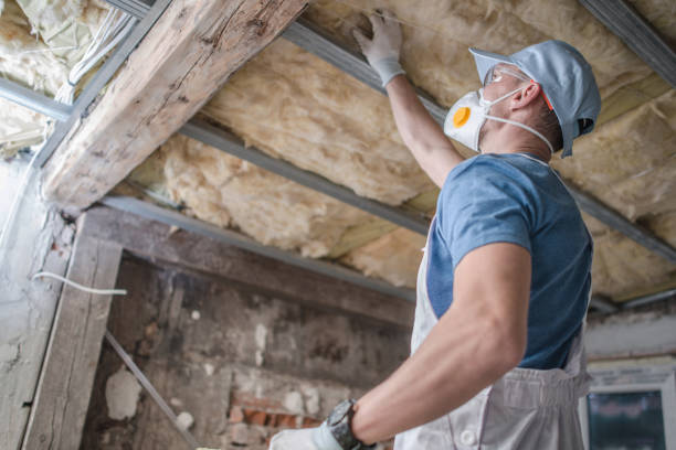 Best Eco-Friendly Insulation in Celebration, FL