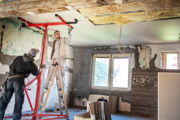 Types of Insulation We Offer in Celebration, FL