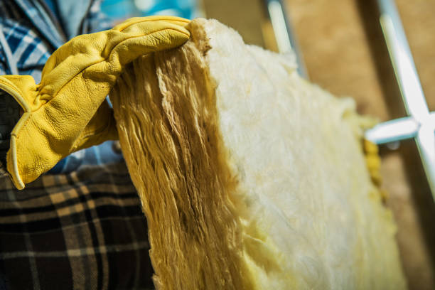 Best DIY Insulation Kits and Guidance in Celebration, FL
