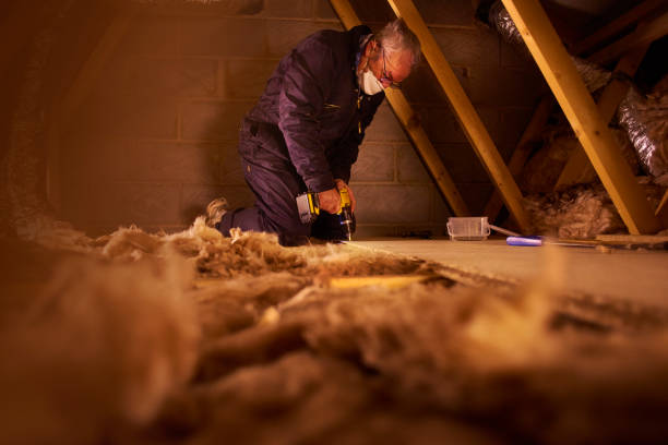 Best Fiberglass Insulation in Celebration, FL